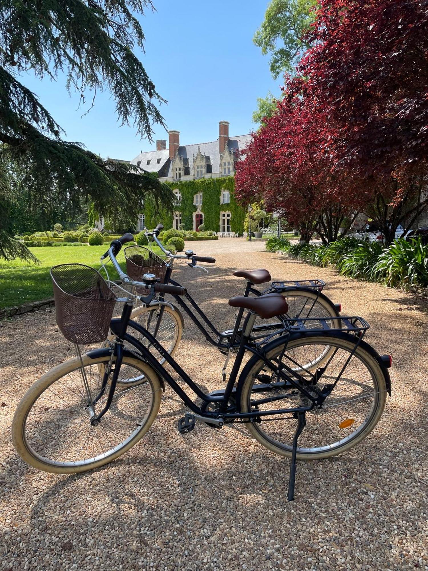 Chateau De L'Epinay Saint-Georges sur Loire Exterior foto